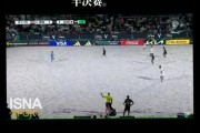星空体育网站入口-伊朗队获得国际足球比赛亚军